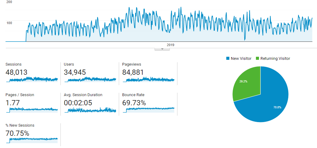 Visitor Analysis Report